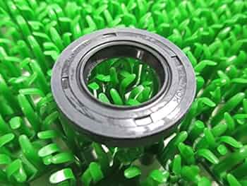 くろくま Ninja ZX-4RR KRT EDITION 《2025年モデル》 12月入荷予定